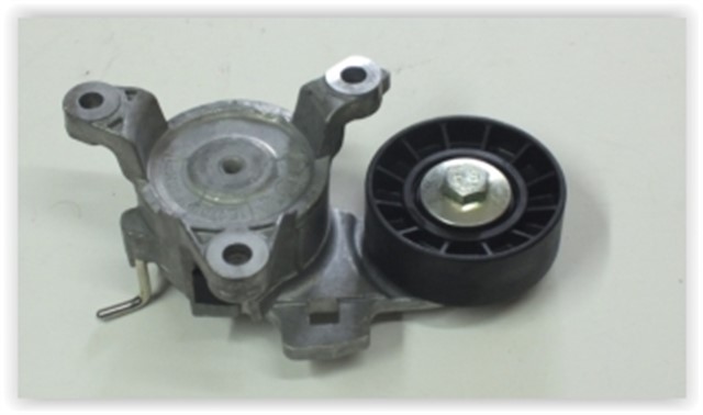 ALTERNATOR GERGI RULMANI C3 III