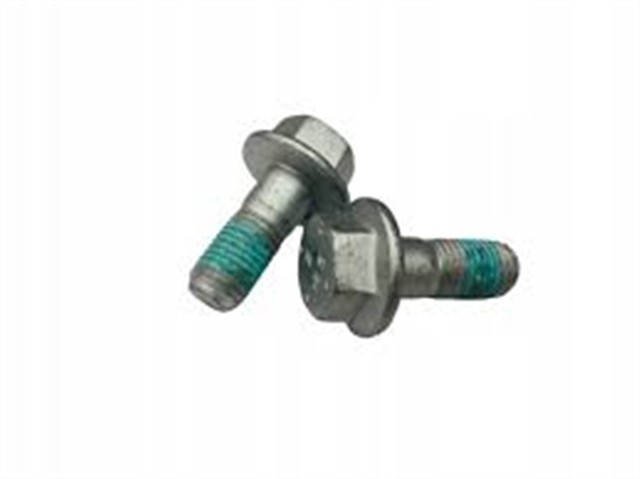 VIDA. CIVATA. DISLI SAPLAMA