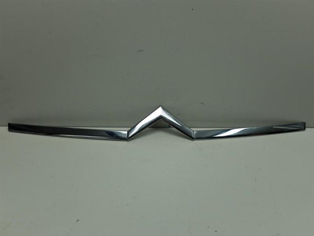 KAPUT CAVUS ARMA C4