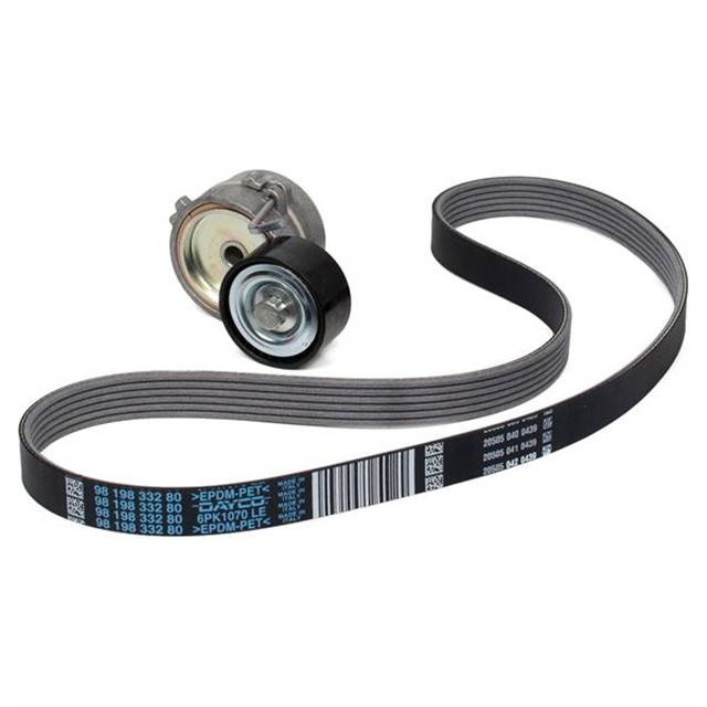 ALTERNATOR RULMAN KITI P301 P308 II T9 P208 P2008 DS3 C3 III C4 CACTUS C ELYSEE EBM2 EB2F KLIMAL