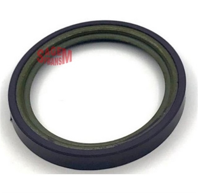 ABS OKUYUCU HALKASI CLIO III - SANDERO 15 - 