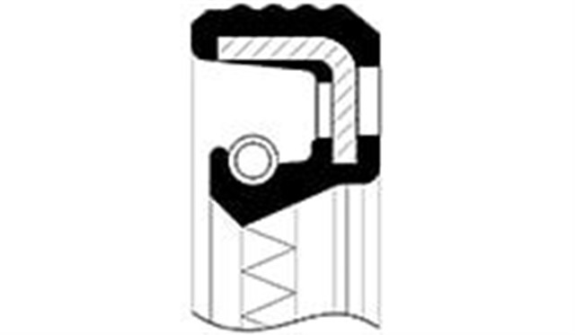 EKSANTRIK KECE DUCATO - BOXER 50X70X10