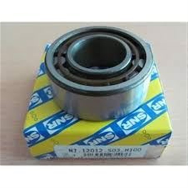 GRUP ON RULMAN DOBLO - TMPR