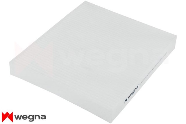 POLEN FILTRESI POLO - IBIZA - FABIA - A1 17 - 