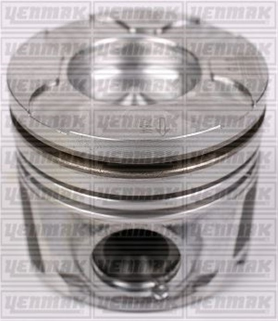 X MOTOR PISTON SEGMAN STD P206 - P307 - C3 - FIESTA 1.4 HDI - TDCI DW4 16V 73.70