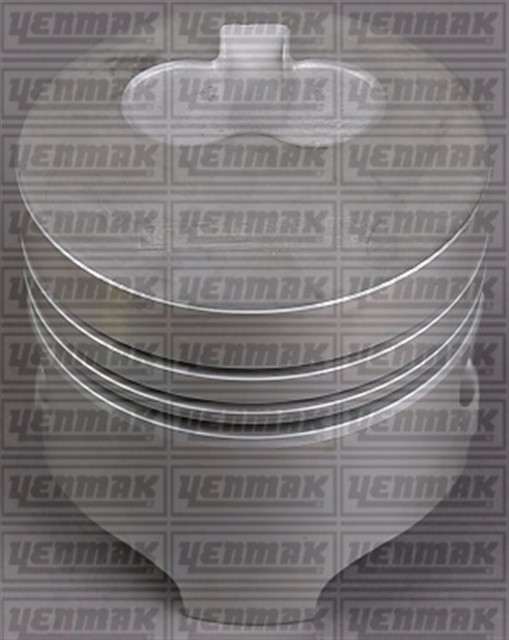 MOTOR PISTON SEGMAN KNG - EXP - R19 DZL. CUKURLU 80.00 CAP STD