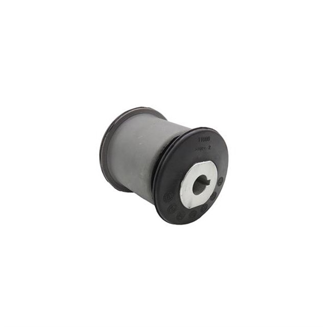 DINGIL BURCU ARKA SAG T5 - T6 04 - 