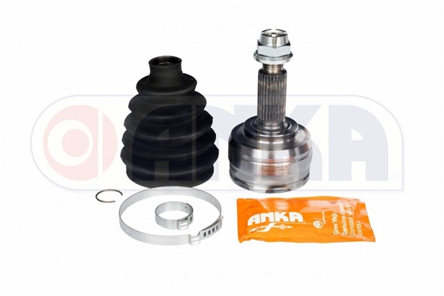 AKS KAFASI DIS CAPTUR 13 FLUENCE 10 OTOM. VITES