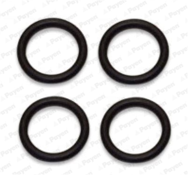 EMME MANIFOLD ORINGI [TAKIM] FIESTA - 206 - 307 - C3 - BIPPER - NEMO DV4 1.4 TDCI 02 - 