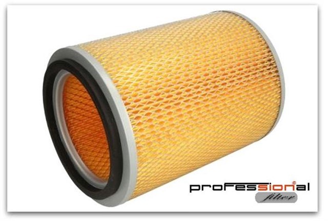 HAVA FILTRESI NKR SAMPIYON C20326