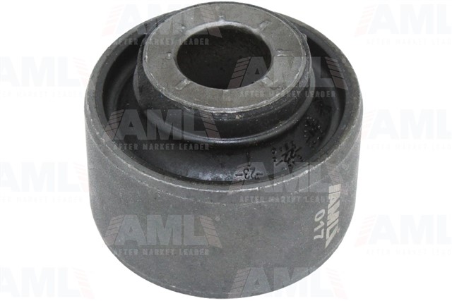 SALINCAK BURCU BUYUK CLIO V