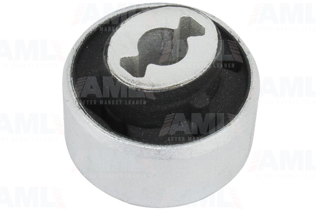 SALINCAK BURCU KUCUK CLIO V