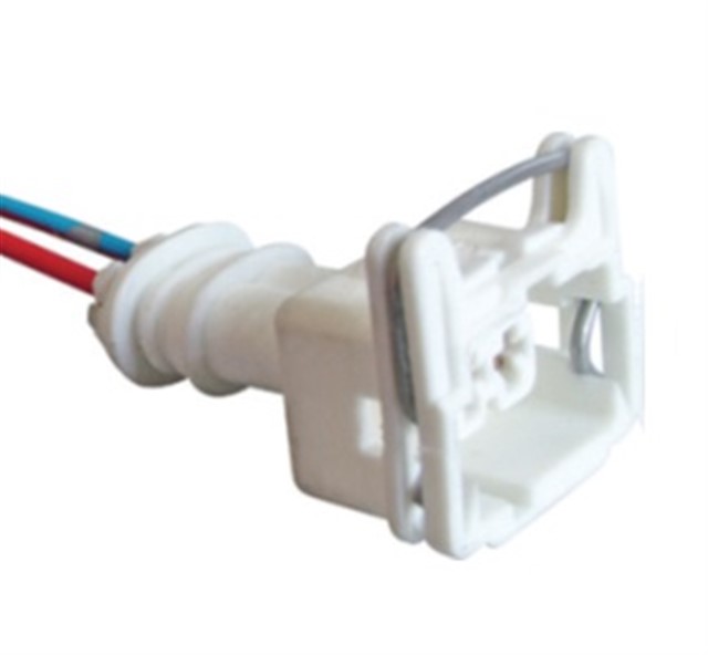 KORNA SOKETI PALIO - MGN