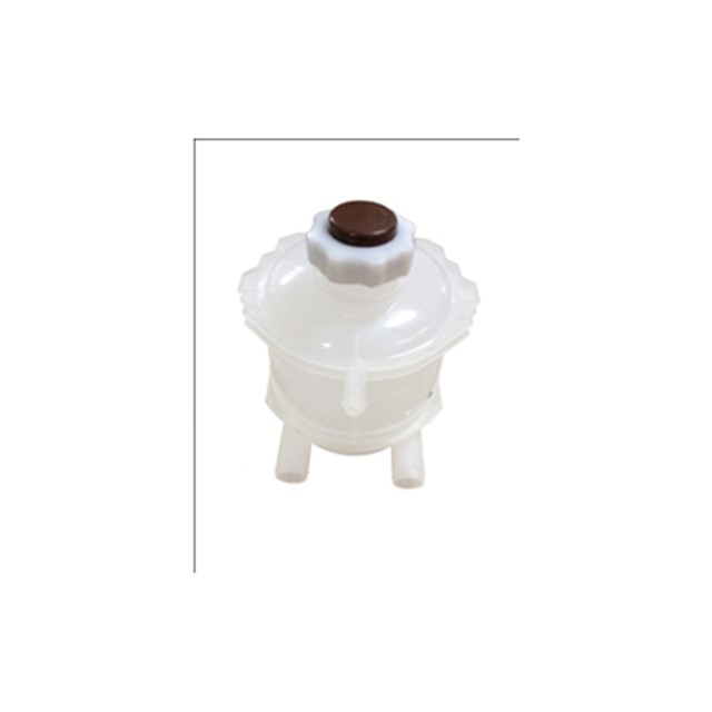 GENLESME KAVANOZU KAPAKLI FLASH - EXP - R11 - R21 RADYATOR EK SU DEPOSU