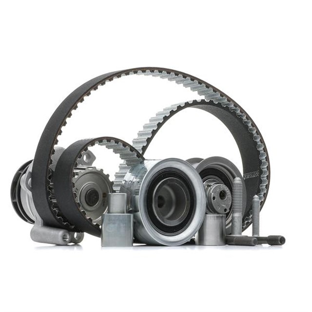 DISLI KAYIS/MAKARA SETI