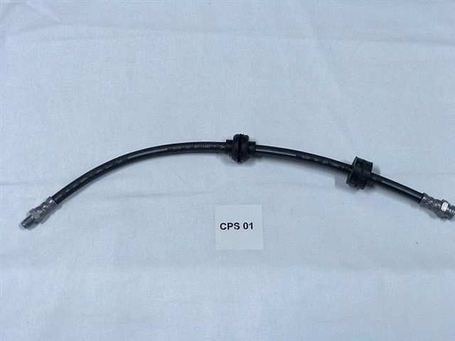 ON FREN HORTUMU PALIO - SIENA