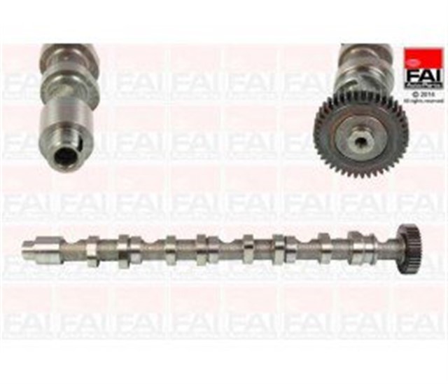 EKSANTRIK MILI EMME GOLF - PASSAT - JETTA - BORA 1.6FSI 115 BEYGIR BLF