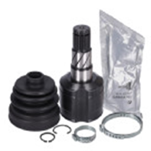 AKS KAFASI SETI TESLA