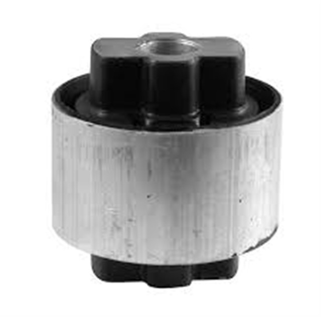 SALINCAK BURCU ON BYK DUCATO YM 2006..