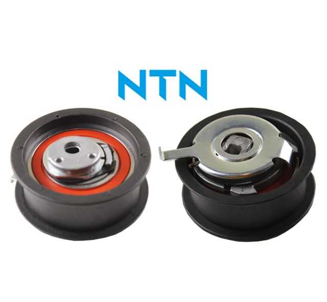 EKSANTRIK GERGI RULMANI PASSAT - A4 - A6 - T4 1.9 TDI 1Z - AFN - AVG - ABL