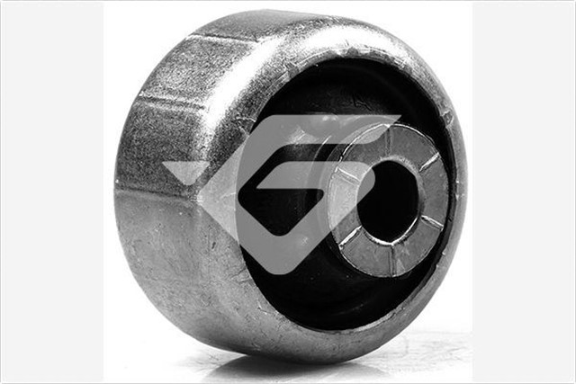 SALINCAK BURCU BUYUK KANGOO II