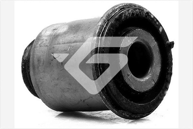 SALINCAK BURCU KUCUK KANGOO II