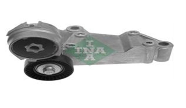 V KAYIS GERGI RULMANI KOMPLE CONNECT 1.8 TDCI 02 - 13