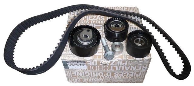 EGZANTRIK KAYIS KITI