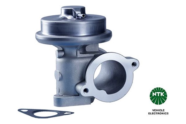 EGR VALFI EGP0 - N110 FORD