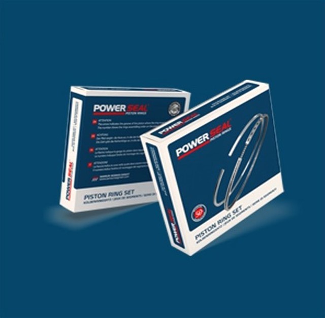 MOTOR SEGMANI PEUGEOT - FORD 1.4 HDI DW4 73.70 MM 0.STD