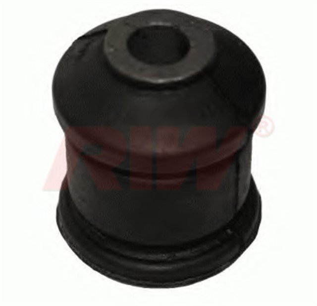 SALINCAK VE DENGE KOLU BURCU ARKA KUCUK