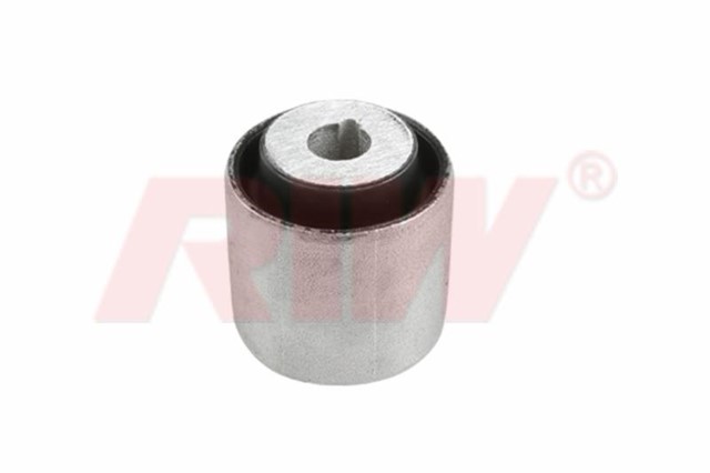 SALINCAK VE DENGE KOLU BURCU ARKA UST