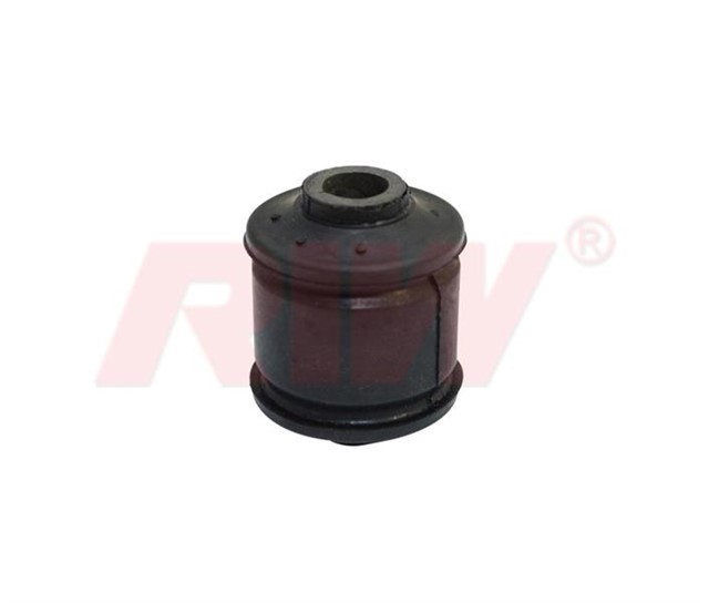 SALINCAK VE DENGE KOLU BURCU KUCUK ON