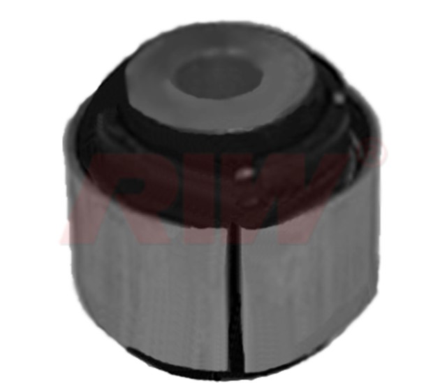 SALINCAK VE DENGE KOLU BURCU ARKA UST