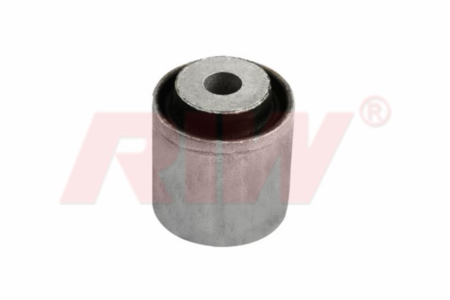 SALINCAK VE DENGE KOLU BURCU ARKA ON