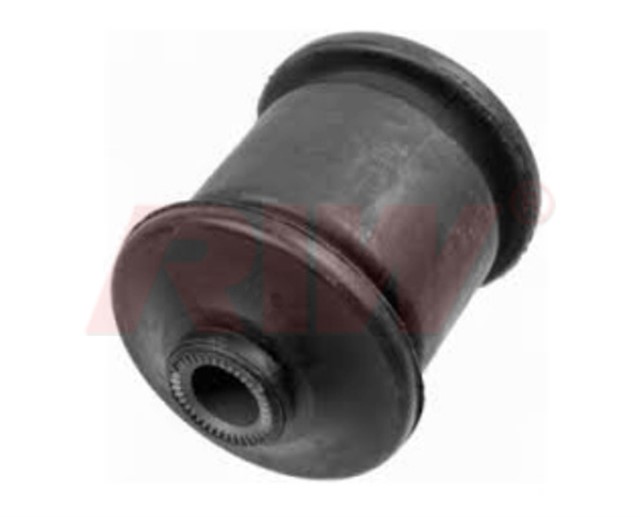 SALINCAK VE DENGE KOLU BURCU ARKA