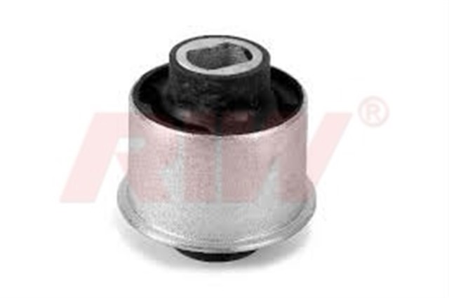 SALINCAK VE DENGE KOL BURCU