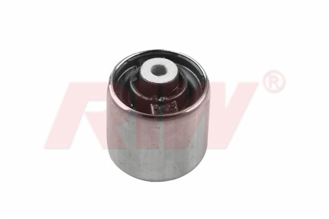 SALINCAK VE DENGE KOLU BURCU ON ALT ARKA