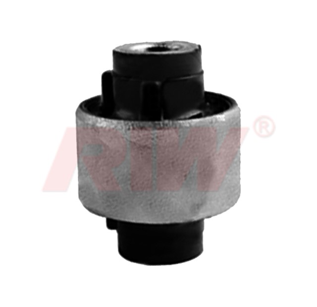 SALINCAK VE DENGE KOL BURCU ALT