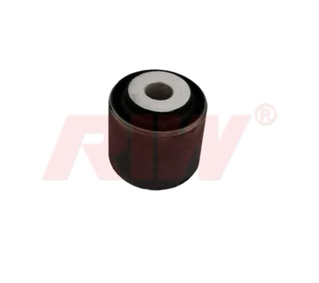 SALINCAK VE DENGE KOL BURCU ARKA