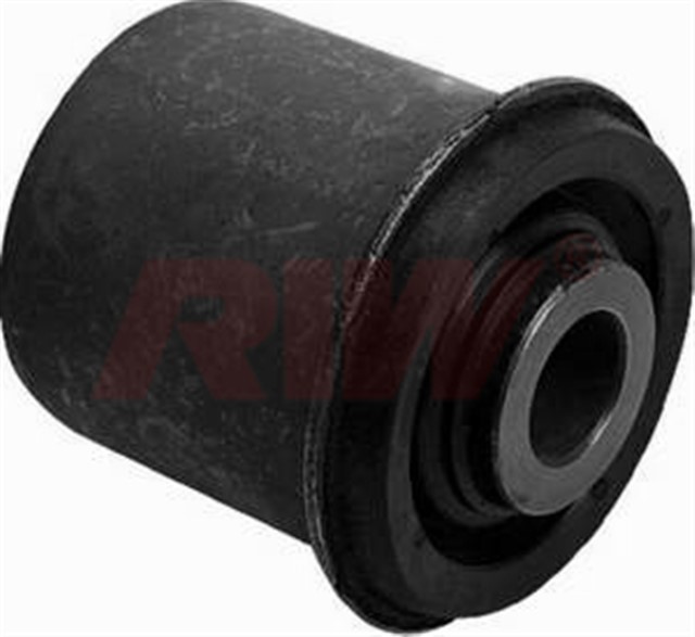 SALINCAK BURCU NISSAN