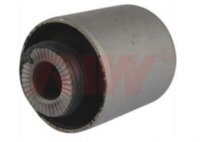 SALINCAK VE DENGE KOLU BURCU ORTA