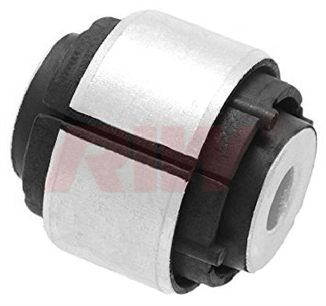 SALINCAK VE DENGE KOLU BURCU ARKA