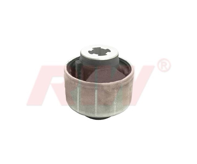 SALINCAK VE DENGE KOLU BURCU DIS ON ALT