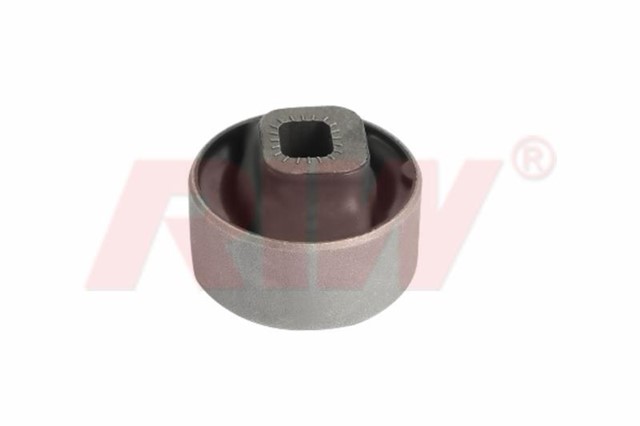 SALINCAK VE DENGE KOLU BURCU DIS ON ALT