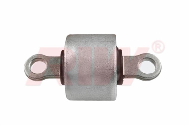 SALINCAK VE DENGE KOL BURCU ARKA