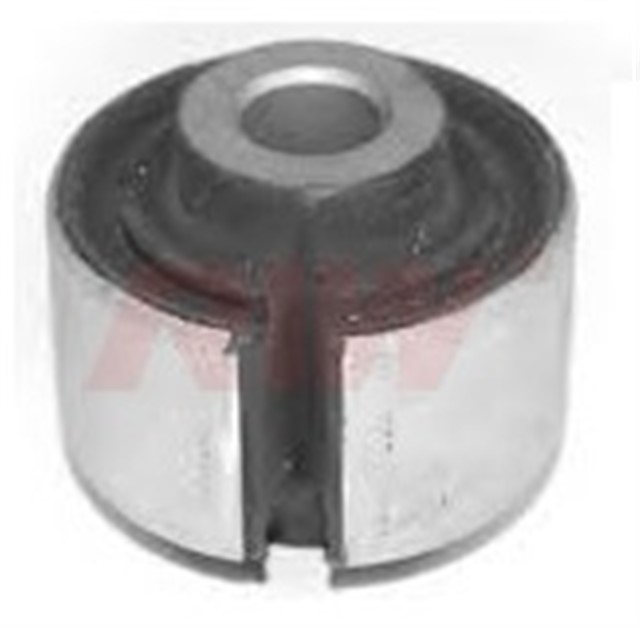 SALINCAK VE DENGE KOLU BURCU ARKA