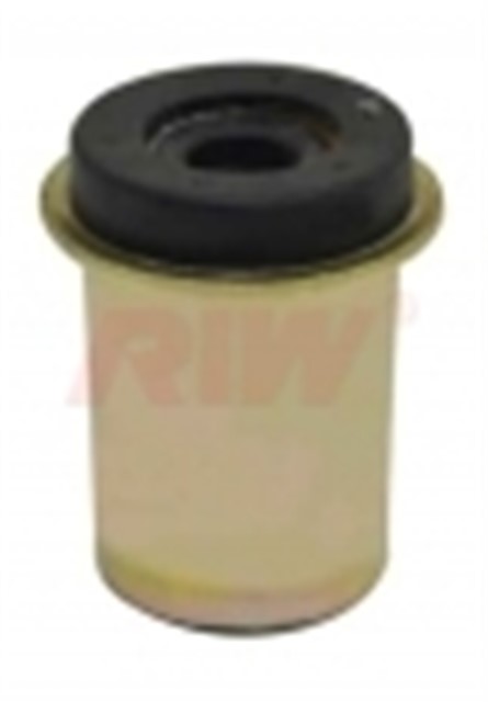 SALINCAK VE DENGE KOLU BURCU ALT BUYUK