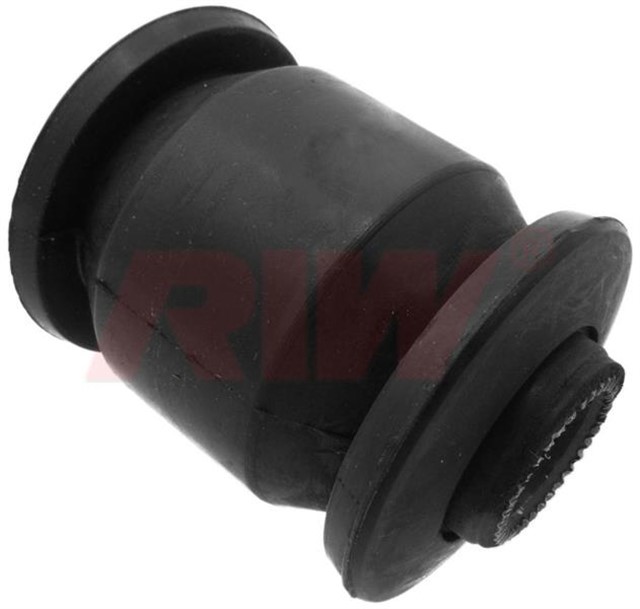 SALINCAK BURCU SUZUKI