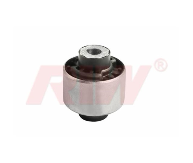 SALINCAK VE DENGE KOLU BURCU DIS ON ALT